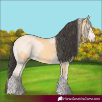 Horse Color:White Spotted Buckskin  and White Spotted Perlino 