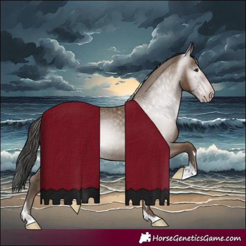 Horse Color:Gray Classic Champagne Tobiano 
