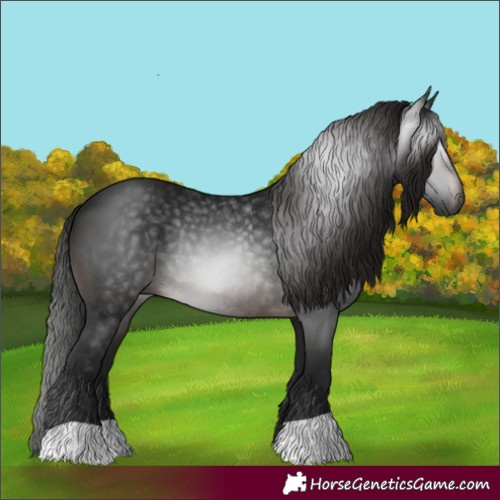 Horse Color:Gray Brown Rabicano 