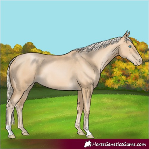Horse Color:Palomino Pearl 
