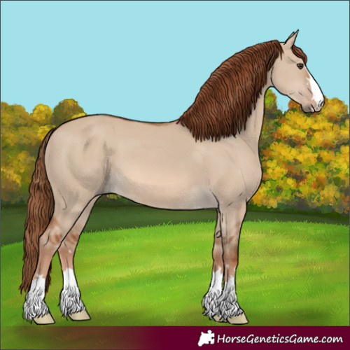 Horse Color:Red Dun 