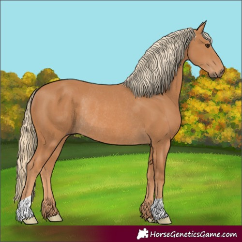 Horse Color:Chestnut Rabicano 