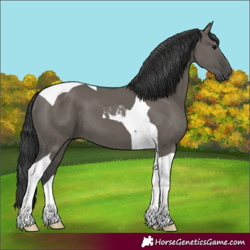 Horse Color:Grullo Tobiano