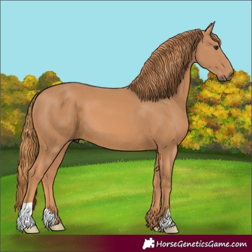 Horse Color:Chestnut 