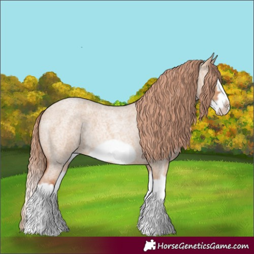 Horse Color:Red Dun Roan Splash Frame Rabicano 
