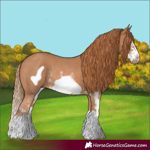 Horse Color:Chestnut Sabino Splash Frame Rabicano 