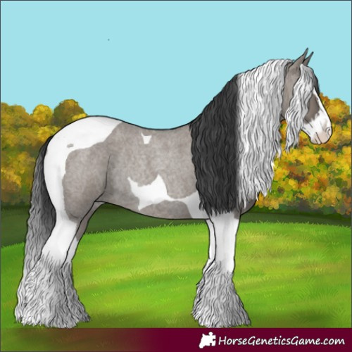 Horse Color:Grullo Roan Splash Tobiano Rabicano