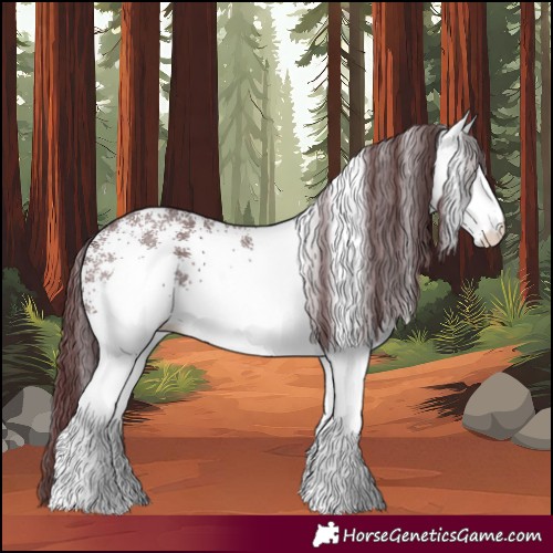 Horse Color:White Spotted Chocolate Black 