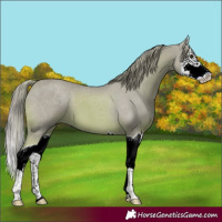 Horse Color:Watercolor Chestnut Splash 