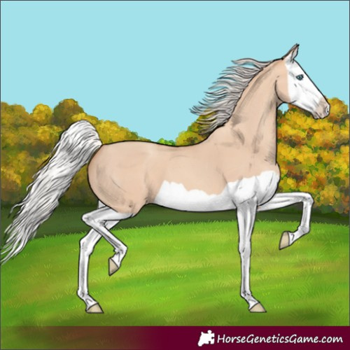 Horse Color:Silver Sable Champagne Dun Splash 