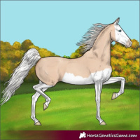Horse Color:Silver Sable Champagne Dun Splash