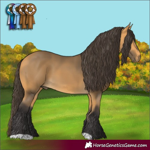 Horse Color:Buckskin 