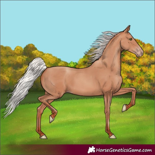 Horse Color:Silver Sable Champagne 