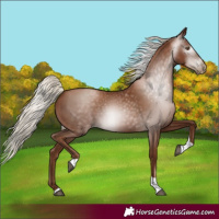 Horse Color:Gray Silver Black Pearl Tobiano 