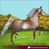 Horse Color:Gray Silver Black Pearl Tobiano