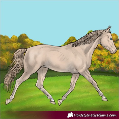 Horse Color:Perlino