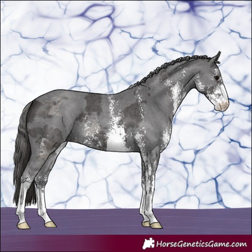Horse Color:Smoky Black Merle Sabino 