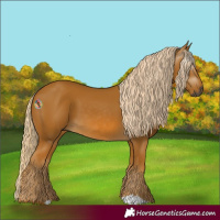 Horse Color:Gray Palomino