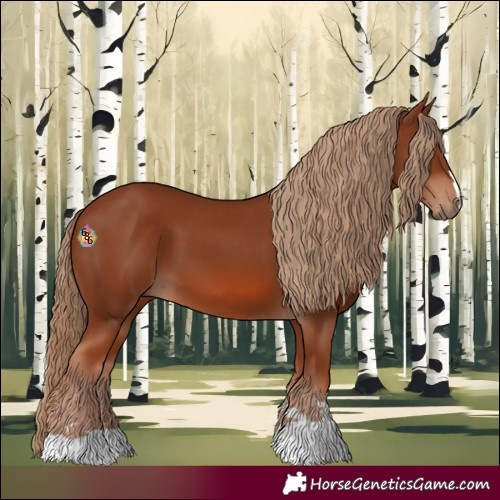 Horse Color:Chestnut 