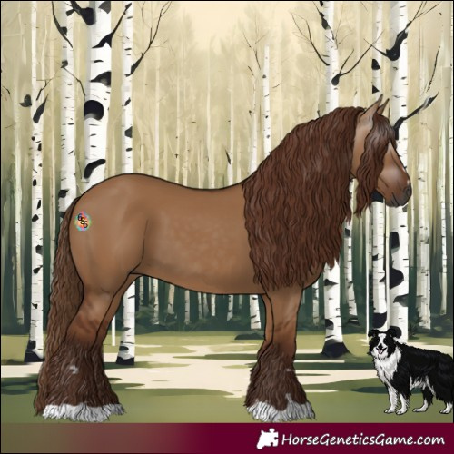 Horse Color:Gray Red Dun