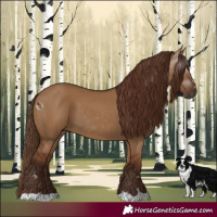 Horse Color:Gray Red Dun