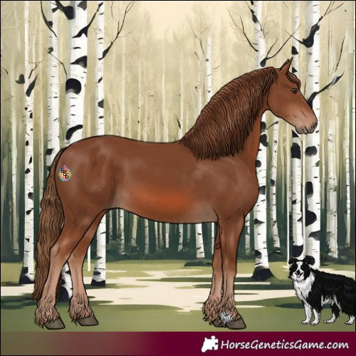 Horse Color:Chestnut 