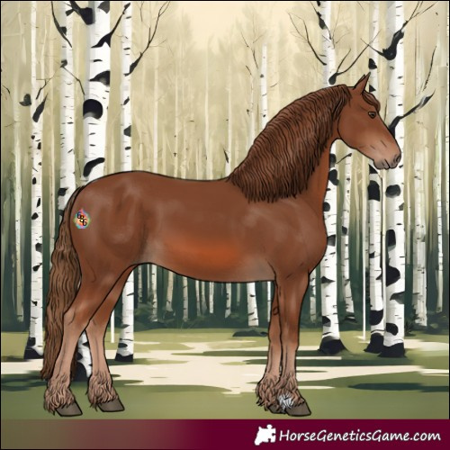 Horse Color:Chestnut 