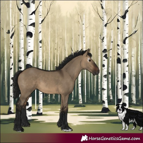 Horse Color:Gray Bay Dun