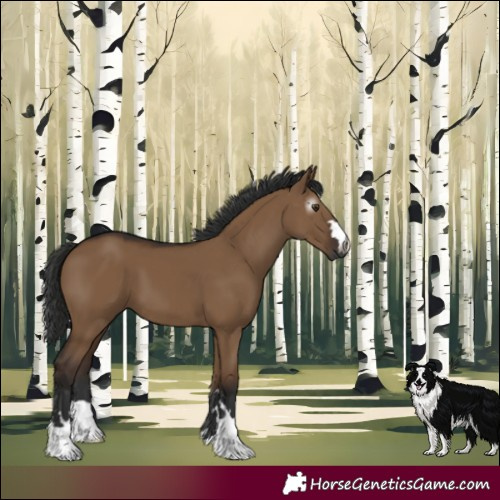 Horse Color:Gray Liver Red Dun