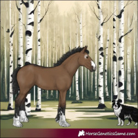 Horse Color:Gray Liver Red Dun