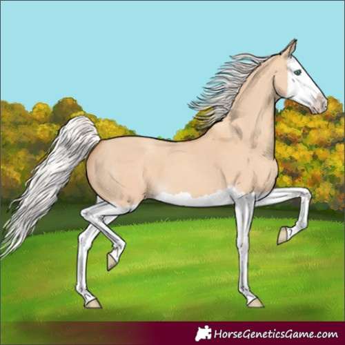 Horse Color:Silver Classic Champagne Dun Splash
