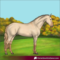 Horse Color:Red Dun 