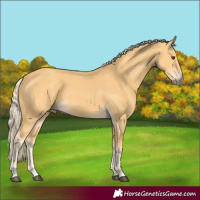 Horse Color:Palomino 