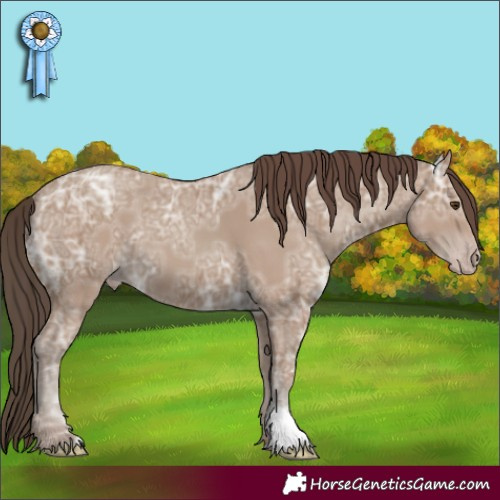 Horse Color:Classic Champagne Ice 