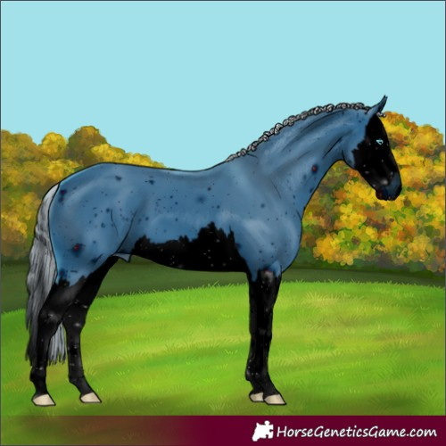 Horse Color:ERROR: UNKNOWN ANOMALY