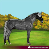 Horse Color:ERROR: UNKNOWN ANOMALY