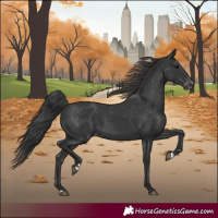 Horse Color:Black Varnish Rabicano 