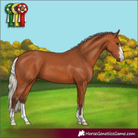 Horse Color:Silver Bay 