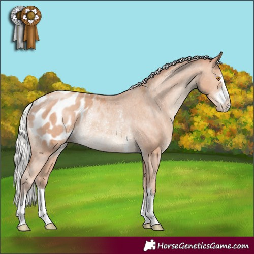 Horse Color:Silver Classic Champagne Appaloosa Rabicano 
