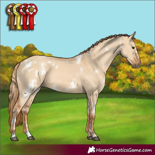 Horse Color:White Spotted Red Dun 