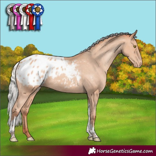 Horse Color:Silver Sable Champagne Tobiano Appaloosa Rabicano 