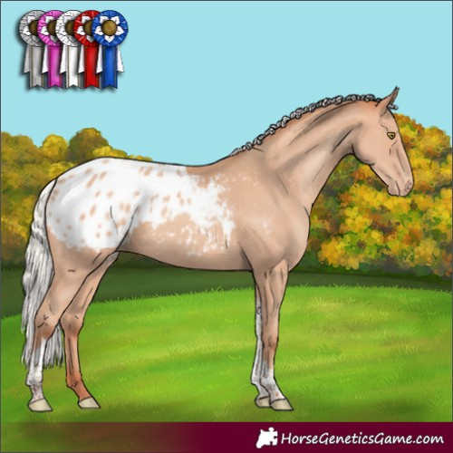 Horse Color:Silver Sable Champagne Tobiano Blanket Rabicano 