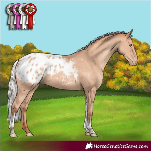 Horse Color:Silver Sable Champagne Tobiano Appaloosa Rabicano 