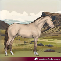 Horse Color:Amber Champagne Dun