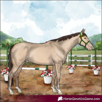 Horse Color:Amber Champagne Dun
