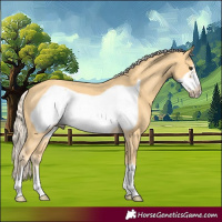 Horse Color:Palomino Frame