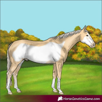 Horse Color:Palomino Frame 