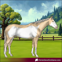 Horse Color:Palomino Frame