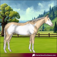 Horse Color:Palomino Frame 