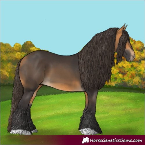 Horse Color:Buckskin 